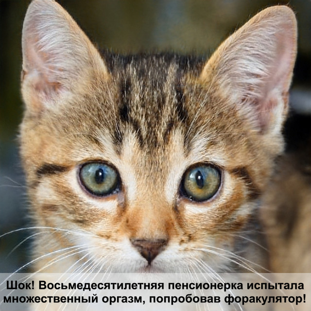 Загружено: Антон Богданов. Россия Тверь