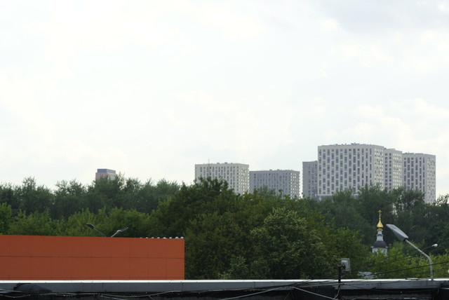 DSC5456.jpg