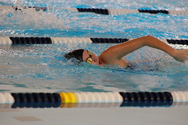 IMG-0446-2