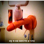 smalimg