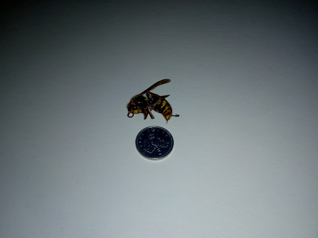 IMG 20180903 214029