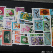 IMG-3796