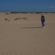 DSCF8587