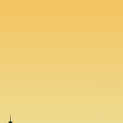 City8