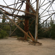 OLYMPUS-DIGITAL-CAMERA