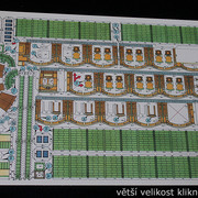 IMG-6776