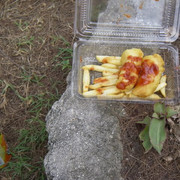 IMGP0522