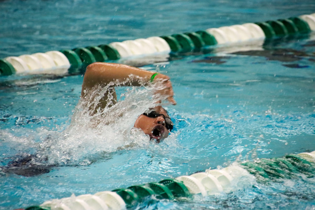 IMG-0441