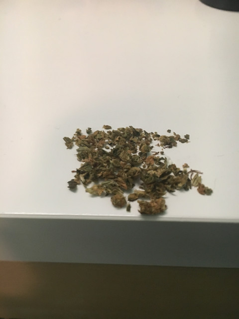 IMG 0902