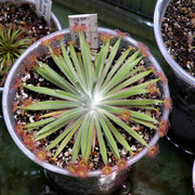 P8021061ms