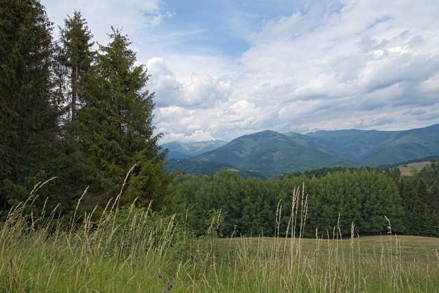 [Image: 01.jpg]