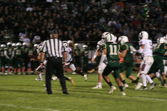 IMG-6459.jpg