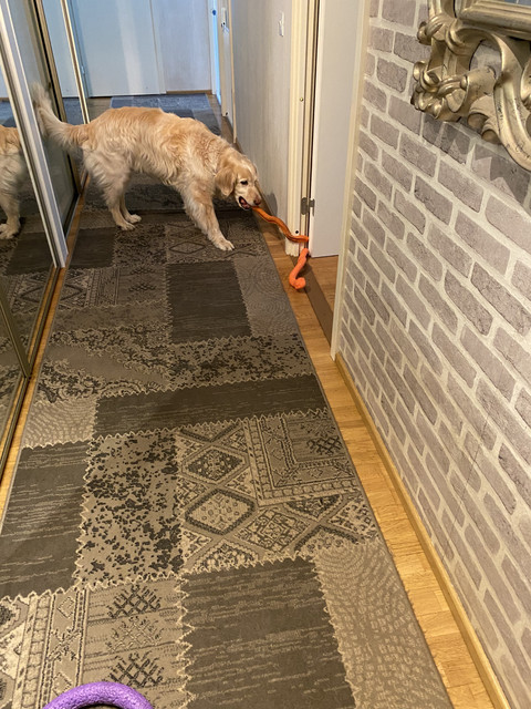 875682-B9-9-AF8-455-B-93-FC-C4-D1-FE6305