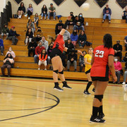 IMG-0267