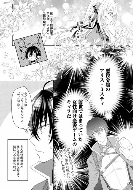 DLRAW-NET-008