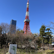 IMG-2637