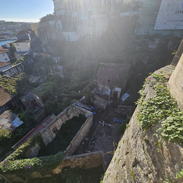 20230828-181208.jpg