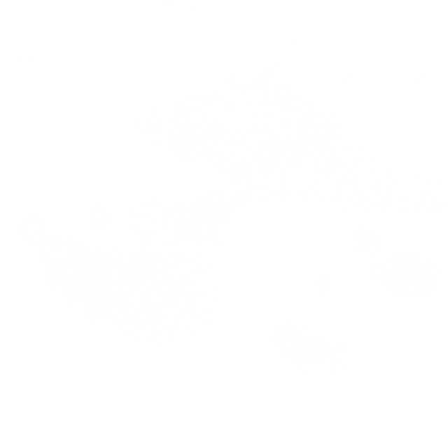 65.png