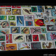 IMG-6796