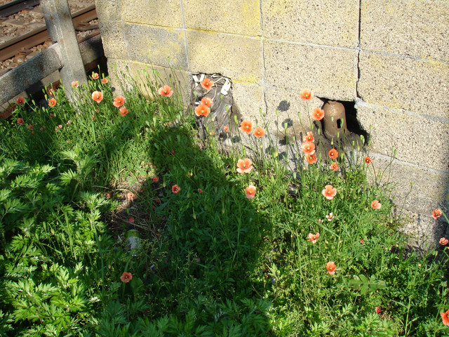 2010-04-25-28.jpg