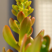 IMG-3449