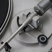 IMG-5517