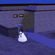 image006