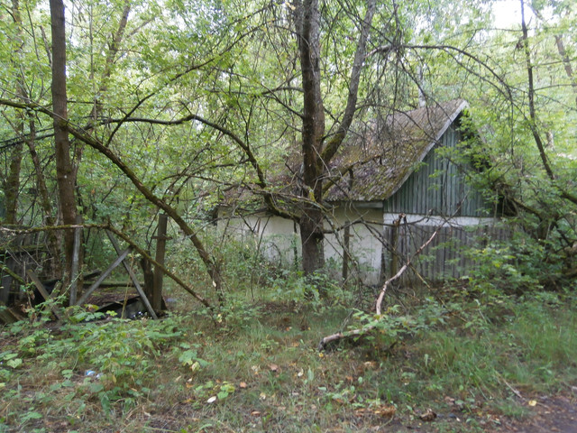 OLYMPUS-DIGITAL-CAMERA.jpg