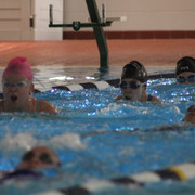 IMG-2592