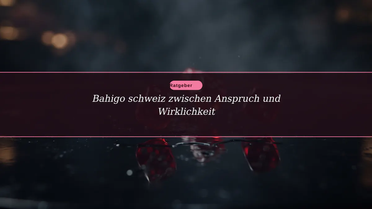 Bahigo schweiz zwischen Anspruch und Wirklichkeit