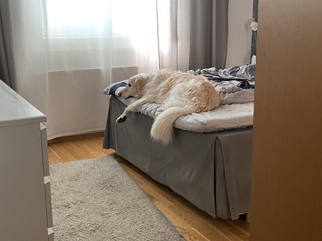 534-A834-E-9-D08-477-D-8322-96-B7-A1-ED5