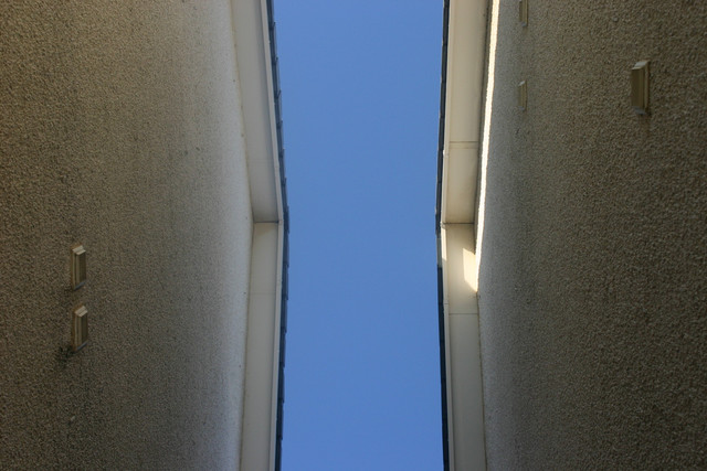 IMG-0367