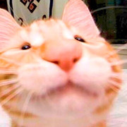 74