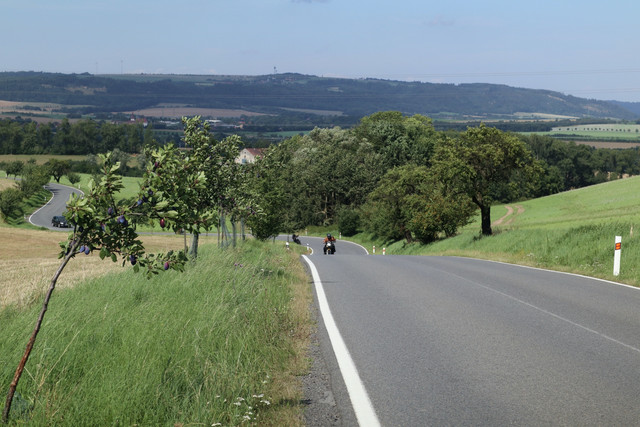 resize-IMG-9558