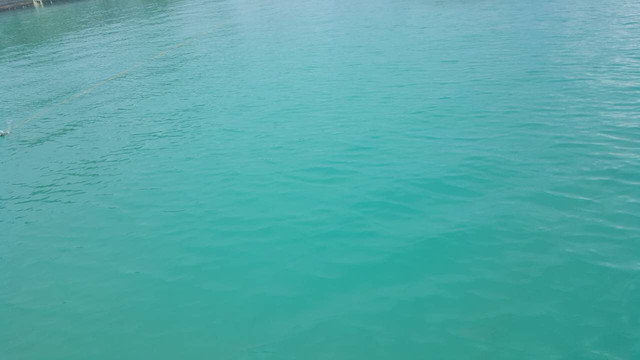 IMG 4970
