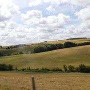 DSCF6169