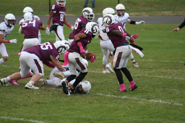 IMG-0553.jpg