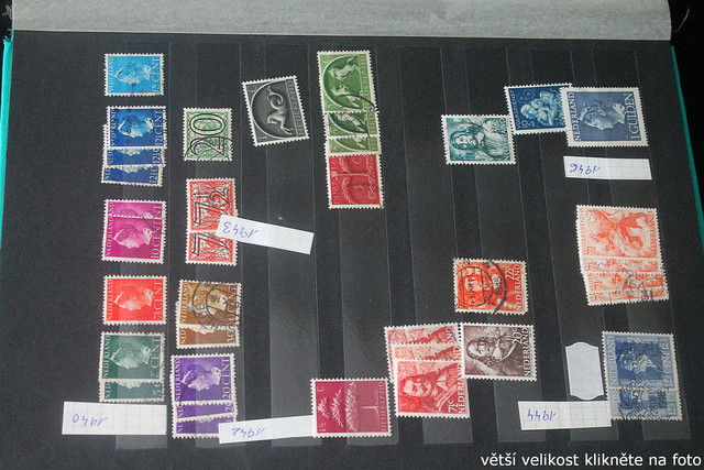 IMG-3696.jpg