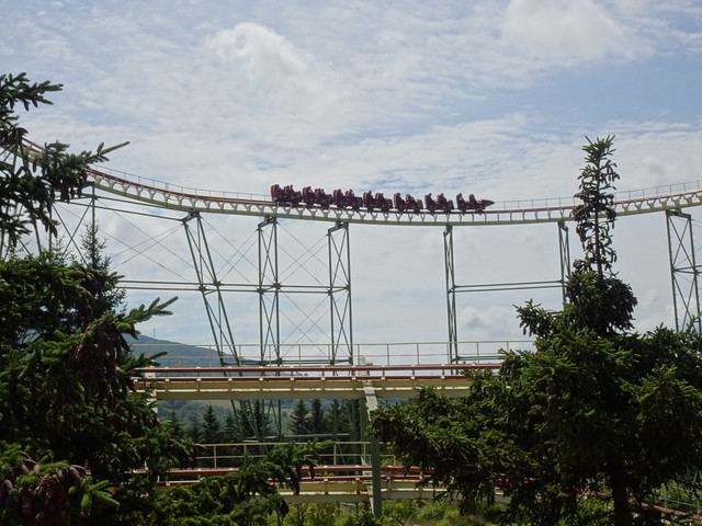 DSC03575.jpg