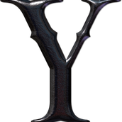 ylc24 541815