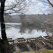 IMG-3018