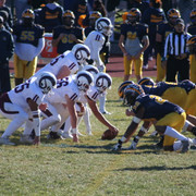 IMG-3116