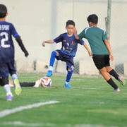 IMG 9194