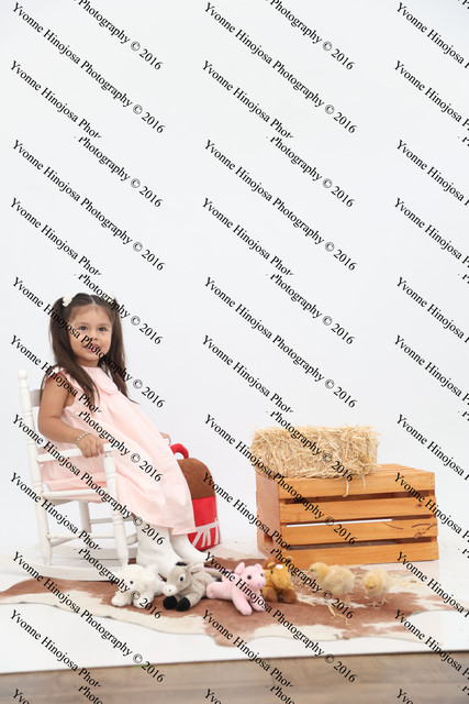 IMG 0956