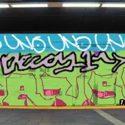 Graffiti artwork by Nem1
