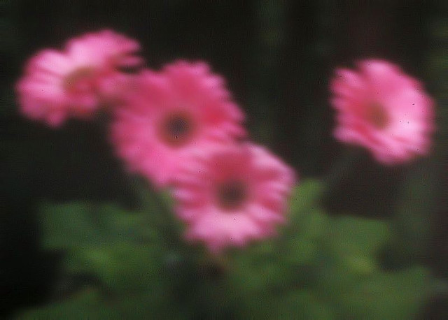 IMGP1217 Edit.jpg