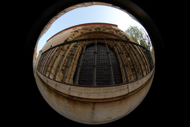 DSCF8943.jpg