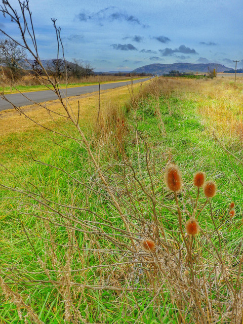 DSCN4898.jpg