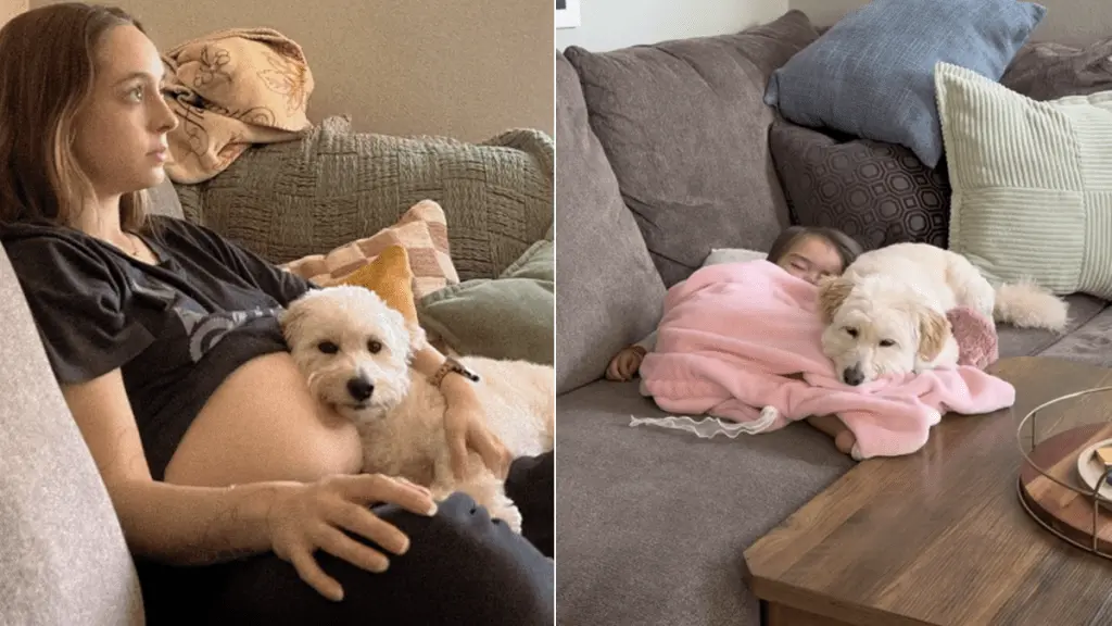 Dog and Baby Form Unexpected Bond