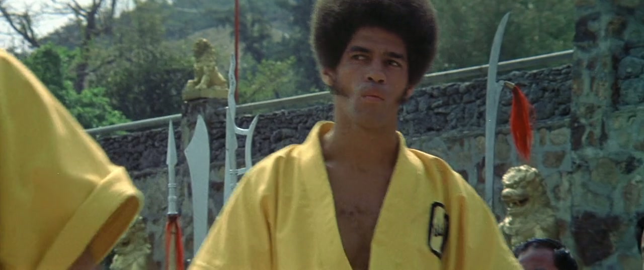 Enter the Dragon Screenshot